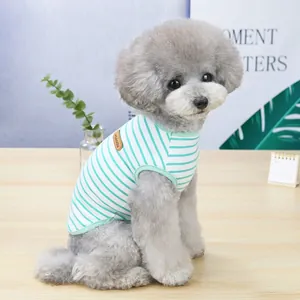 Detailed macro view of mint green and white striped pet vest on a cute grey poodle