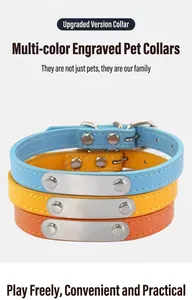 Primo piano di tre collari colorati per animali con piastrine metalliche da incidere