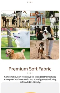 Dettaglio del collare per animali in pelle di alta qualità su vari cani in scene esterne.