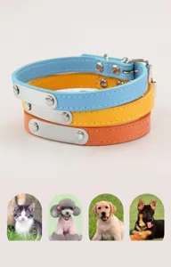 Détail de colliers colorés pour animaux avec plaques métalliques à graver pour divers chiens