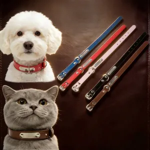 Collier en cuir personnalisable de haute qualité avec plaque d'identité pour animaux