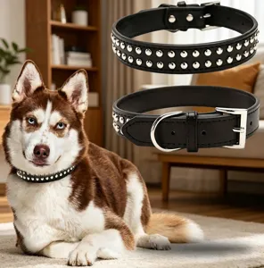 Vue détaillée d'un collier pour chien en cuir véritable avec clous pour grandes races