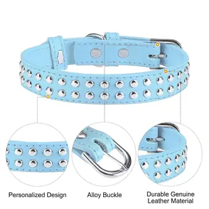 Vue détaillée du collier pour chien en cuir véritable bleu clair avec clous et boucle en alliage