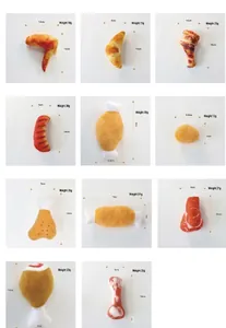 Giocattoli di peluche per cani a forma di cibo con dimensioni e pesi dettagliati in cm e g.