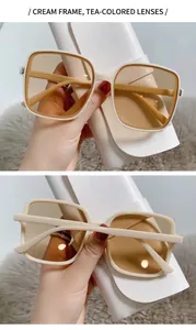 Detailweergave beige vierkante zonnebril met theeglazen en wit etui.