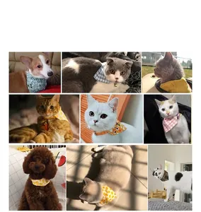 Collage of cats and dogs wearing various colorful printed pet bandanas