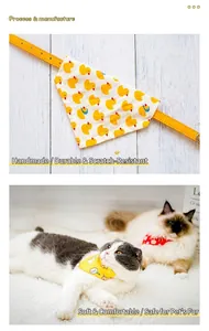 Detailed view of cat bandana with duck pattern and cats wearing soft triangle collars