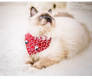 Close-up of a fluffy cat wearing a red floral cat bandana on a soft white rug.
