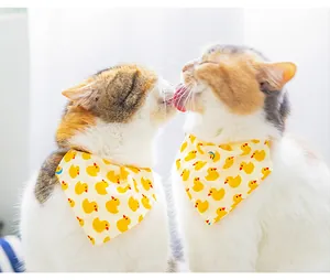 Detailed view of two cats wearing cute yellow duck pattern bandanas in a bright setting