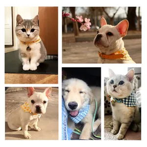 Collage showing cats and dogs wearing cute checkered and polka dot pet bandana collars