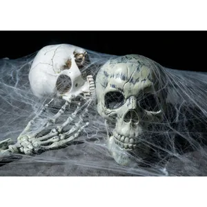Detailansicht von realistischen Halloween-Schädeln und Skeletthand in Spinnweben
