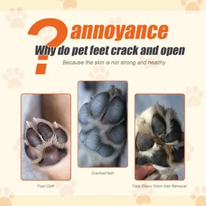 Infographic showing dog paw issues like cracked skin and foot cleft needing repair