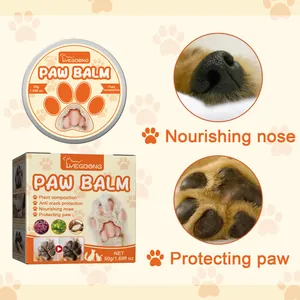 Detail view of YEGBONG paw balm with close-ups of pet nose and paw protection