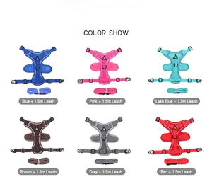 Options de couleur pour l'ensemble harnais et laisse réfléchissant pour chiens et chats