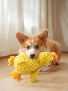 Detail shot of a Corgi dog biting a yellow squeaky plush duck chew toy for pets