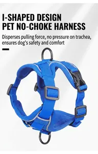 Vue détaillée du harnais bleu pour chien en maille respirante et réfléchissante