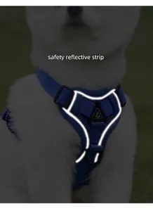 Détail des bandes réfléchissantes de sécurité sur le harnais bleu pour chien
