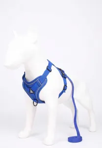 Blue breathable mesh pet harness with reflective strip and matching leash set for dogs