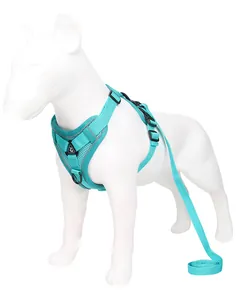 Détail d'un harnais pour chien en maille cyan respirante avec laisse sur mannequin