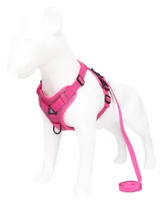 Détail d'un harnais et d'une laisse réfléchissants roses sur un mannequin de chien