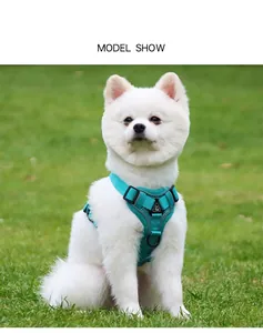 Gros plan d'un chien blanc portant un harnais gilet bleu sarcelle respirant sur l'herbe.
