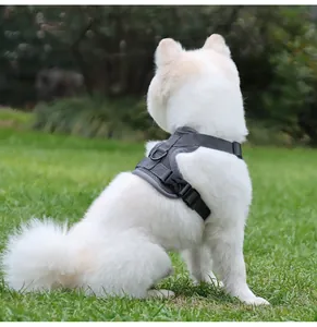 Vue arrière d'un chien blanc portant un harnais en maille grise respirante en extérieur