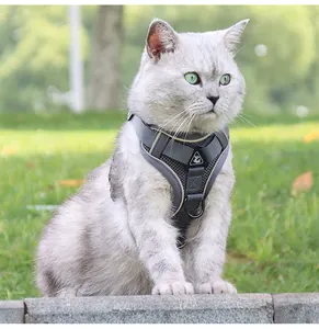 Gros plan d'un harnais pour chat en maille grise respirante dans un cadre extérieur verdoyant