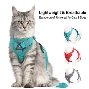 Ensemble Harnais Et Laisse Pour Animaux De Compagnie Réfléchissant Respirant Pour Petits Moyens Chiens Chats Harnais De Style Gilet Réglable En Maille Souple