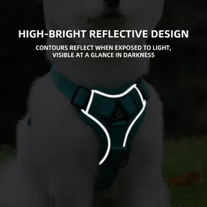 Harnais réfléchissant et respirant pour chien avec bandes lumineuses pour les nuits sûres