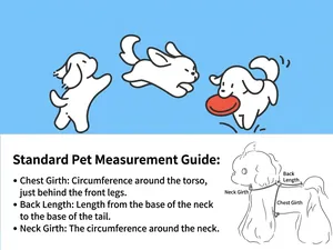 Detailed measurement guide for dog chest girth, back length and neck circumference