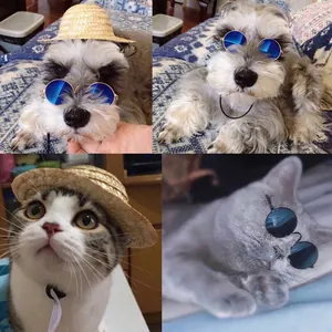 Elegante collage di piccoli animali che indossano mini occhiali da sole e cappelli di paglia