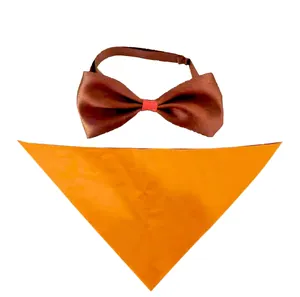 Detailed view of solid color pet bow tie and orange triangular bandana set