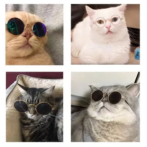 Dettagli di gatti che indossano mini occhiali da sole rotondi e trasparenti