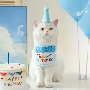White cat wearing a light blue pet birthday hat and bib set with balloons