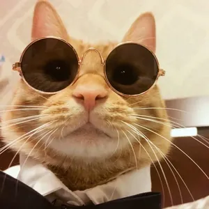 Occhiali da Sole per Animali Domestici Gatti Cani Mini Cornice Metallica Tonda Retrò Lenti Colorate Accessori Fotografici