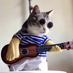 Dettaglio di un gatto divertente con occhiali da sole che suona un mini ukulele