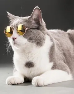 Primo piano di un gatto che indossa occhiali da sole rotondi dorati alla moda per animali.