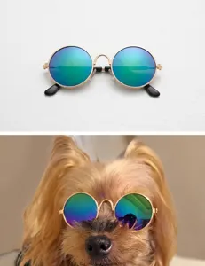 Occhiali da sole colorati con lenti tonde per cani di piccola taglia e gatti moda