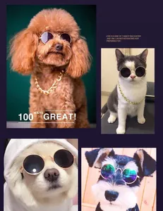 Cani e gatti carini che indossano mini occhiali da sole tondi e catene dorate