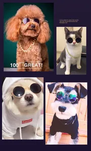 Collage che mostra diversi animali con eleganti occhiali da sole rotondi in stile retrò.