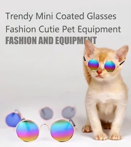 Vista dettagliata di mini occhiali da sole alla moda per animali domestici con lenti