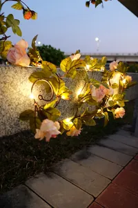 Dekorative LED-Rosenkranz-Lichterkette mit warmem Licht in einer Gartenumgebung leuchtend