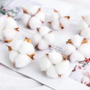 Set of natural dried cotton flower heads for DIY wreath crafts and Christmas home decor