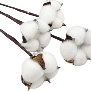 Natural dried cotton bolls on brown floral stems for Christmas DIY wreath decoration