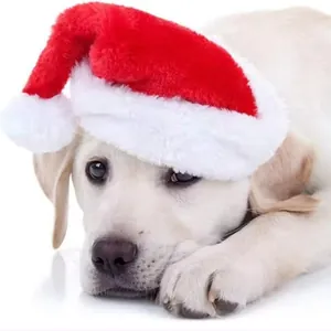 Close-up of a cute small dog wearing a soft plush red and white Santa hat for pets