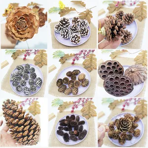 Collectie natuurlijke dennenappels en gedroogde lotus voor rustieke kerstversieringen.
