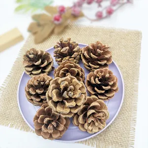 Natuurlijke Houten Dennenappels Gedroogde Bloemen Voor Kerstversiering Wit Geverfde Dennenappels DIY Rustieke Woondecoratie Accessoires