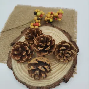 Macro-weergave van natuurlijke dennenappels op houten schijf voor rustiek decor