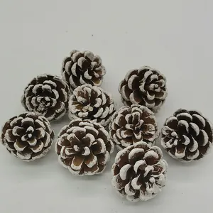 Close-up van natuurlijke dennenappels met witte randen voor kerstdecoratie en DIY