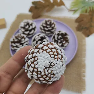 Close-up detail van een natuurlijke dennenappel met witte punten voor kerstdecoratie